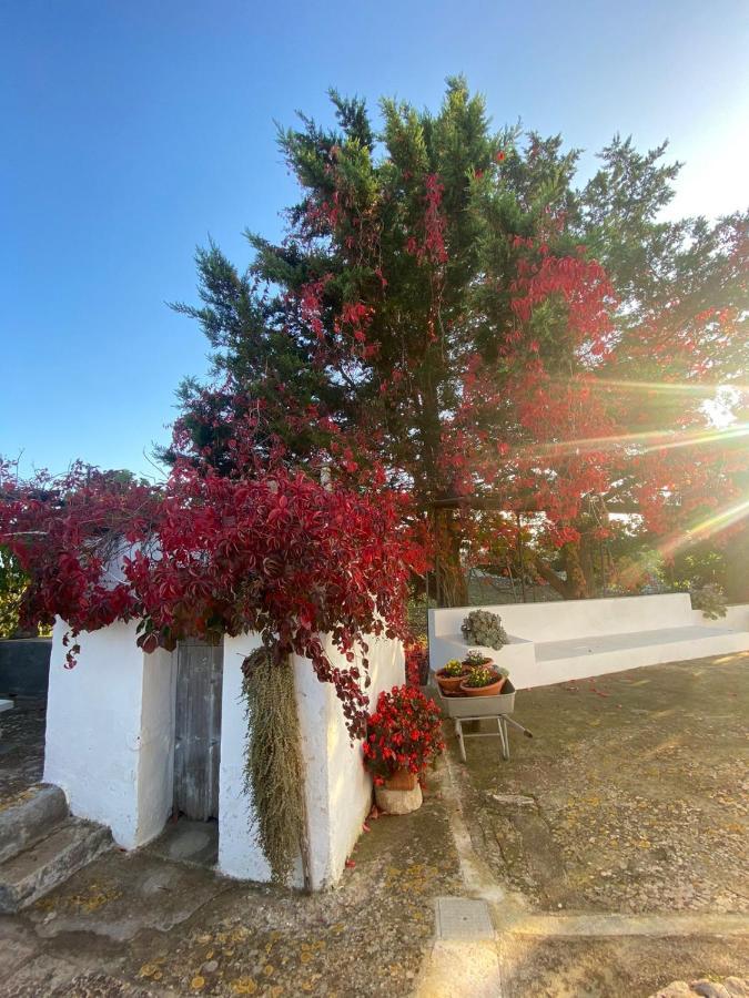 Trulli Demetra Villa Martina Franca Eksteriør billede